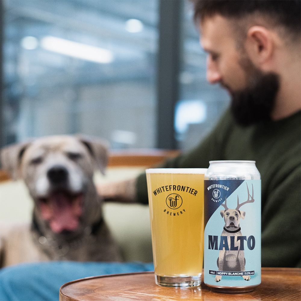 la bière malto sur une table avec le chien malto en fond