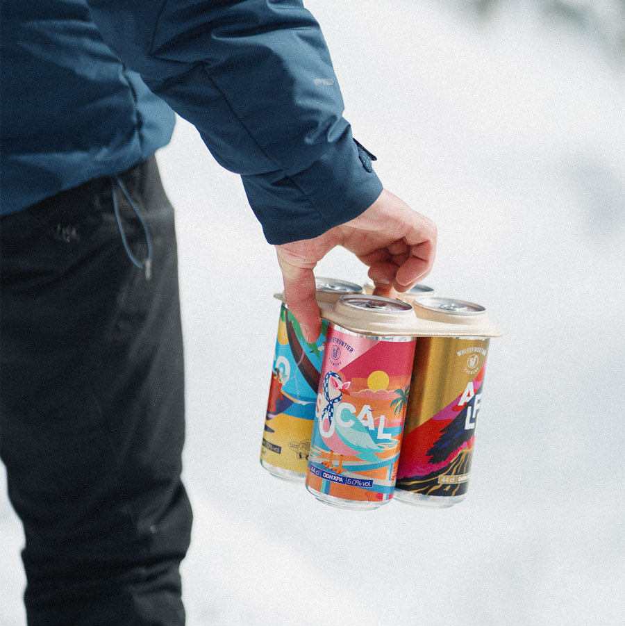 4 canettes de bières stylées