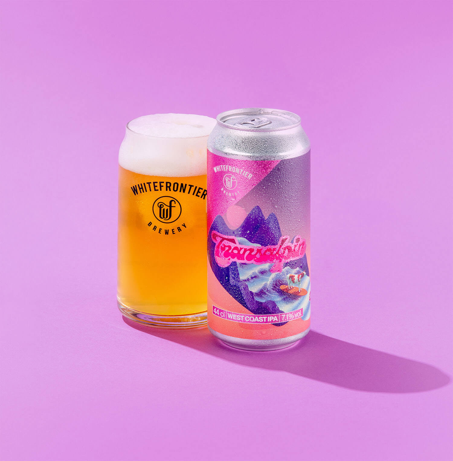 Canette bière transalpin violette sur fond violet