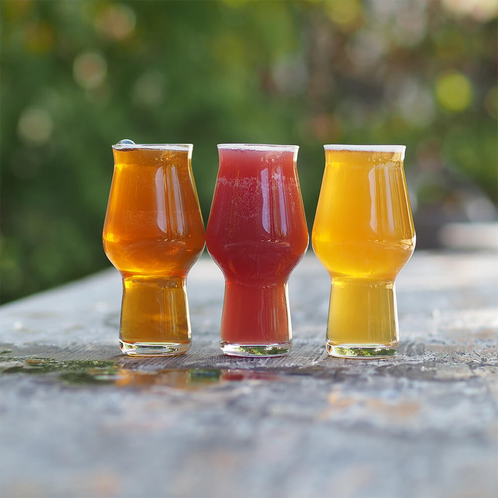 All there is to know about different beers