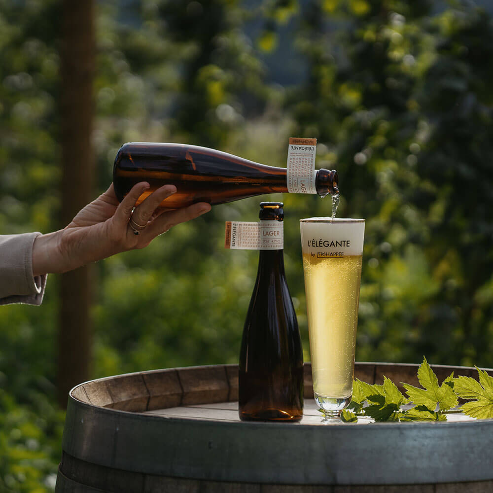 Bière elegante - whitefrontier domaine rouvinez, champs de houblons