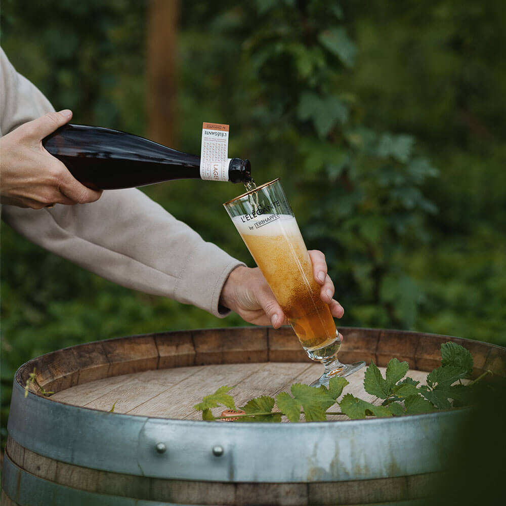 On verse de la bière blonde élégante des domaines rouvinez dans un champs de houblon à Martigny