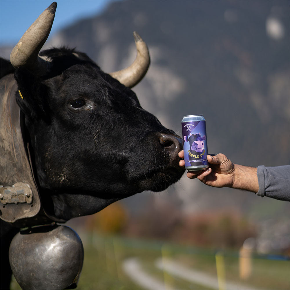 Purple-Cow-Beer-vache-sour-pastry-cow-milk-purple