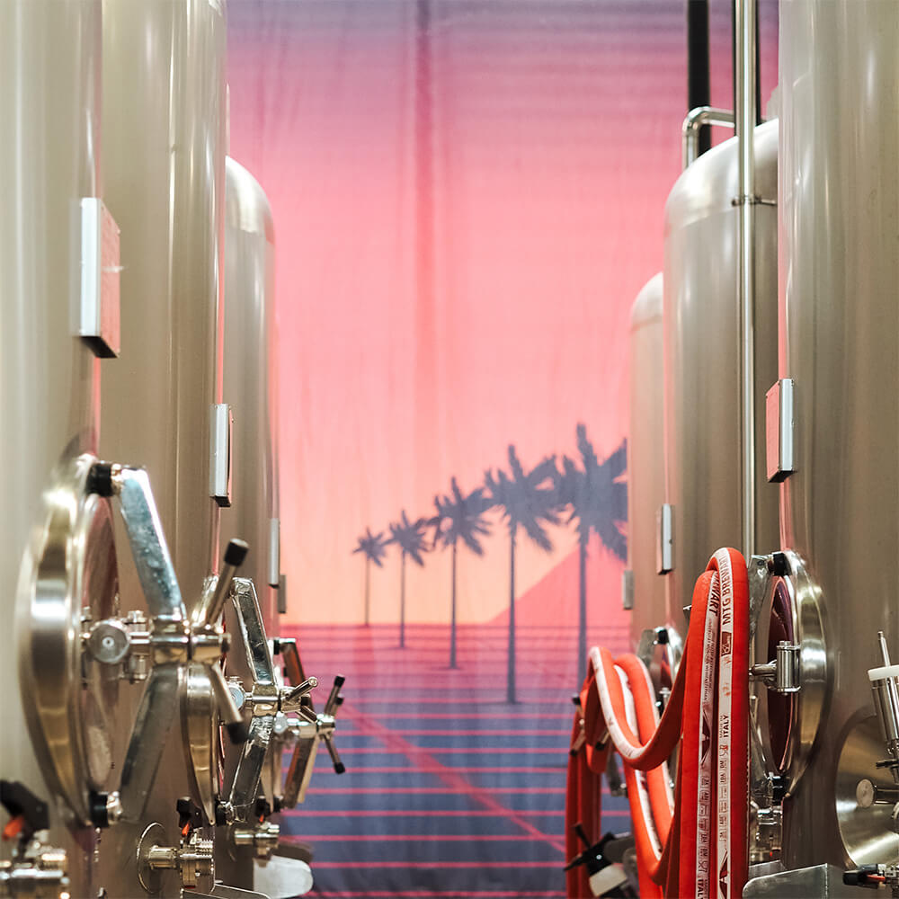 cuves brasserie Whitefrontier fond rose
