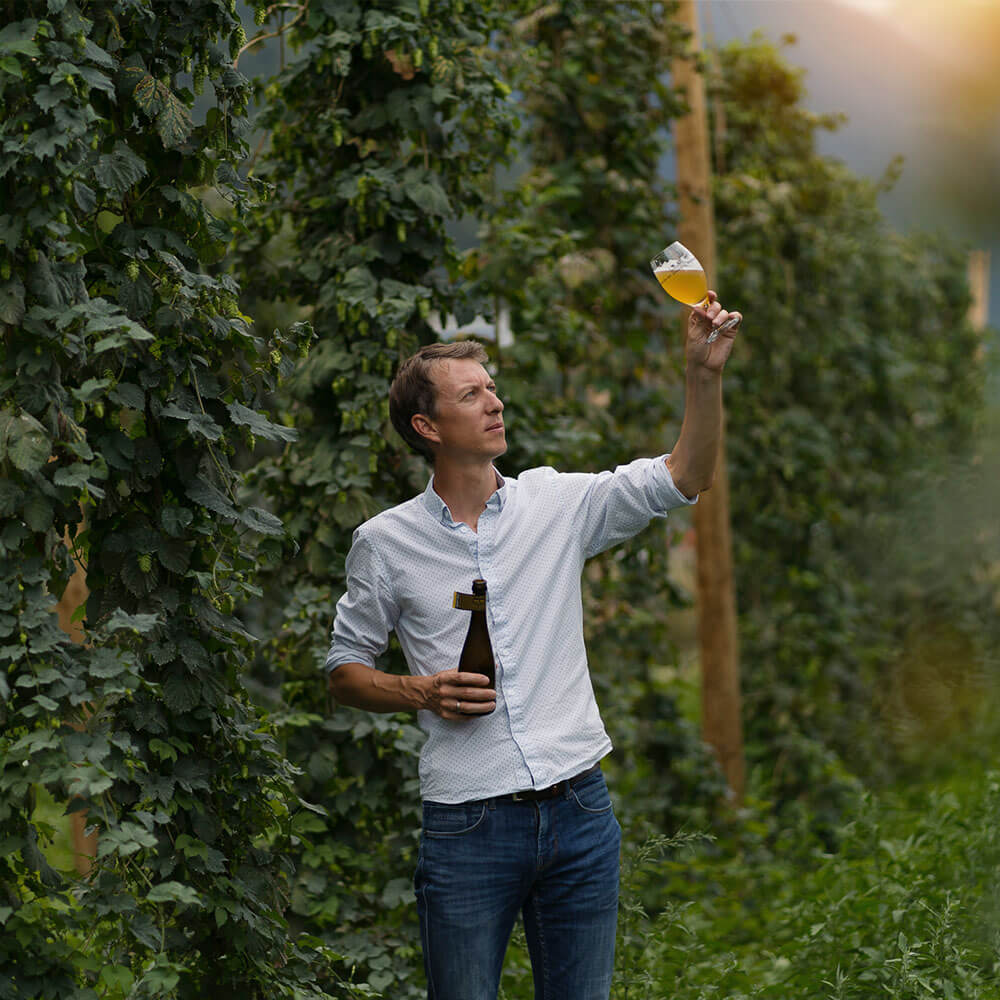 fred rouvinez regarde la bière echappée dans un champs de houblon en valais