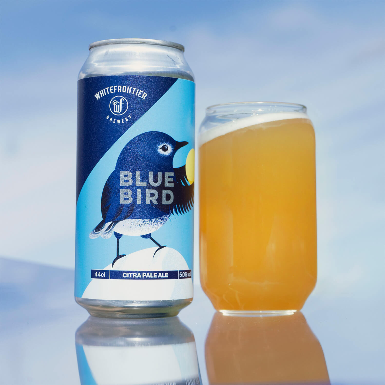 Bière canette 440ml bird blue pale ale Citra