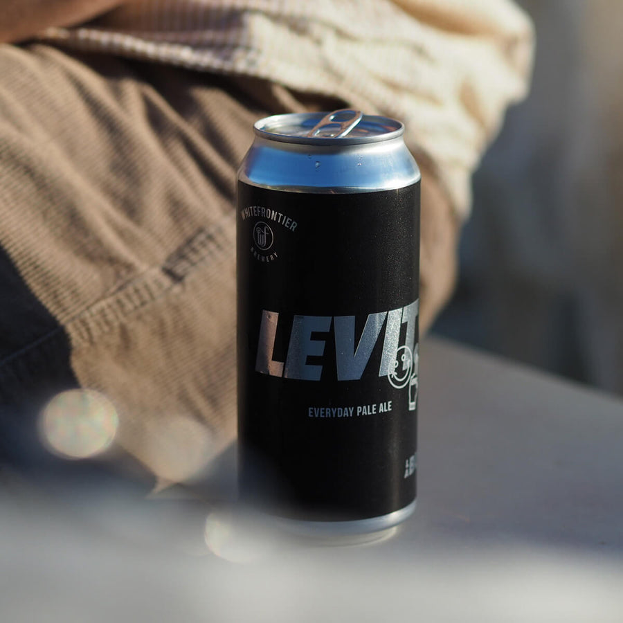 LEVIT